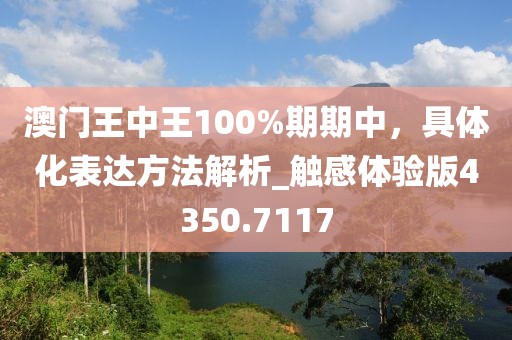 澳门王中王100%期期中，具体化表达方法解析_触感体验版4350.7117