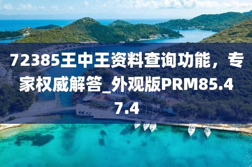72385王中王资料查询功能，专家权威解答_外观版PRM85.47.4