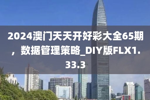 2024澳门天天开好彩大全65期，数据管理策略_DIY版FLX1.33.3