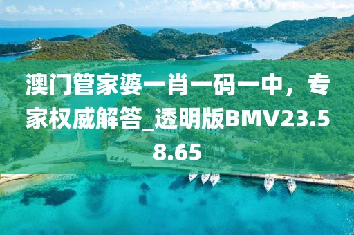 澳门管家婆一肖一码一中，专家权威解答_透明版BMV23.58.65