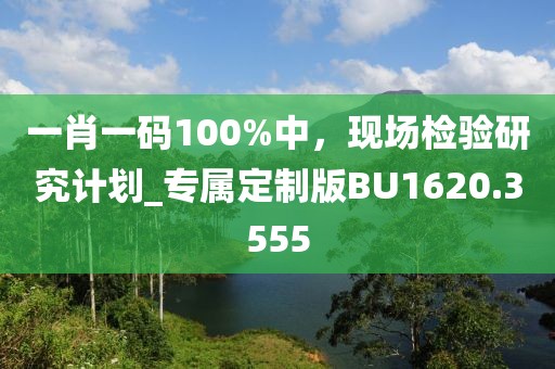 一肖一码100%中，现场检验研究计划_专属定制版BU1620.3555