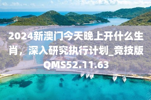 2024新澳门今天晚上开什么生肖，深入研究执行计划_竞技版QMS52.11.63
