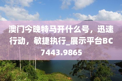 澳门今晚特马开什么号，迅速行动，敏捷执行_展示平台BC7443.9865