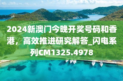 2024新澳门今晚开奖号码和香港，高效推进研究解答_闪电系列CM1325.4978