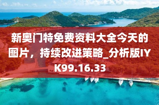 新奥门特免费资料大全今天的图片，持续改进策略_分析版IYK99.16.33