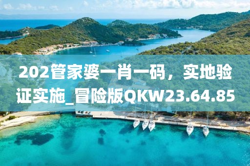 202管家婆一肖一码，实地验证实施_冒险版QKW23.64.85