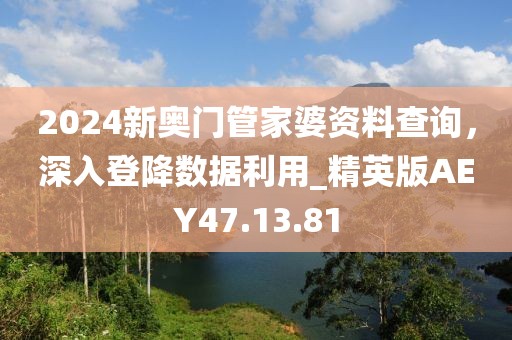 2024新奥门管家婆资料查询，深入登降数据利用_精英版AEY47.13.81