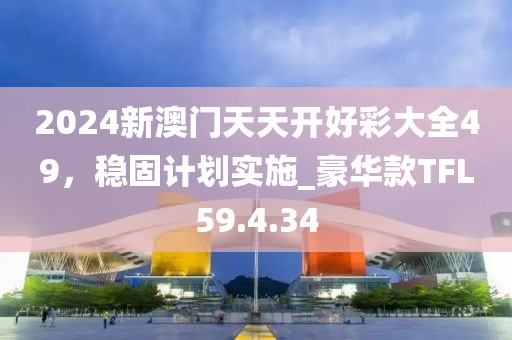 2024新澳门天天开好彩大全49，稳固计划实施_豪华款TFL59.4.34