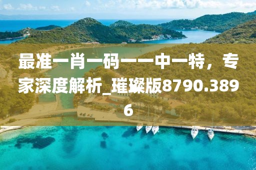 最准一肖一码一一中一特，专家深度解析_璀璨版8790.3896