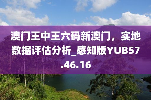 澳门王中王六码新澳门，实地数据评估分析_感知版YUB57.46.16