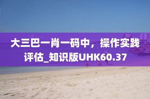 大三巴一肖一码中，操作实践评估_知识版UHK60.37