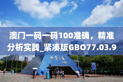 澳门一码一码100准确，精准分析实践_紧凑版GBO77.03.9
