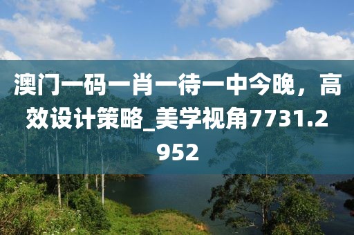 澳门一码一肖一待一中今晚，高效设计策略_美学视角7731.2952