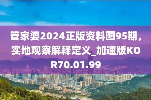 管家婆2024正版资料图95期，实地观察解释定义_加速版KOR70.01.99