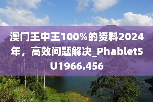 澳门王中王100%的资料2024年，高效问题解决_PhabletSU1966.456
