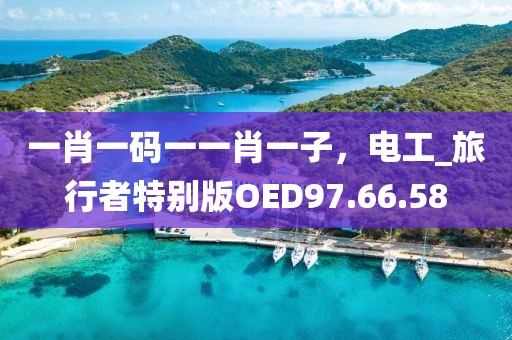 一肖一码一一肖一子，电工_旅行者特别版OED97.66.58