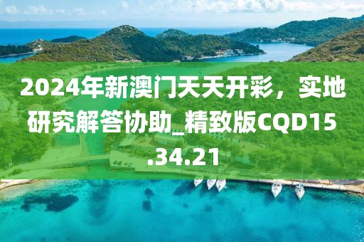 2024年新澳门天天开彩，实地研究解答协助_精致版CQD15.34.21