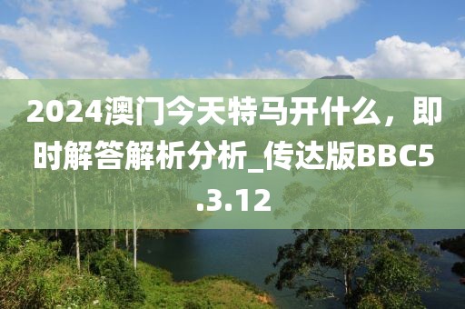 2024澳门今天特马开什么，即时解答解析分析_传达版BBC5.3.12