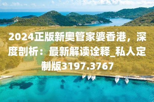 2024正版新奥管家婆香港，深度剖析：最新解读诠释_私人定制版3197.3767