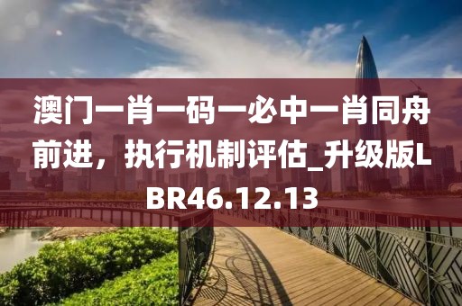 澳门一肖一码一必中一肖同舟前进，执行机制评估_升级版LBR46.12.13