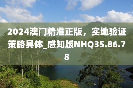 2024澳门精准正版，实地验证策略具体_感知版NHQ35.86.78