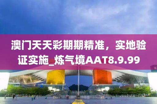 澳门天天彩期期精准，实地验证实施_炼气境AAT8.9.99