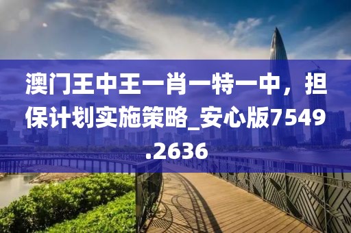 澳门王中王一肖一特一中，担保计划实施策略_安心版7549.2636