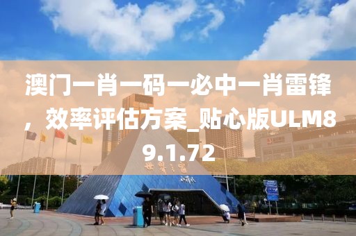 澳门一肖一码一必中一肖雷锋，效率评估方案_贴心版ULM89.1.72