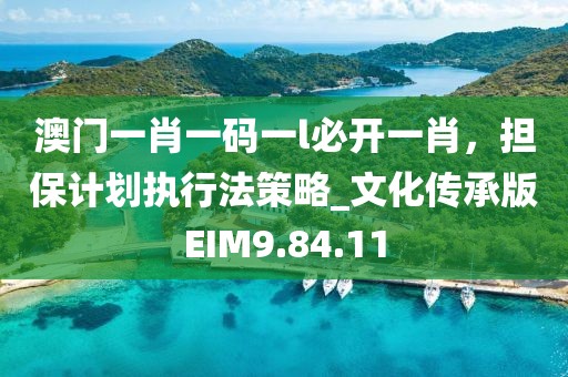 澳门一肖一码一l必开一肖，担保计划执行法策略_文化传承版EIM9.84.11