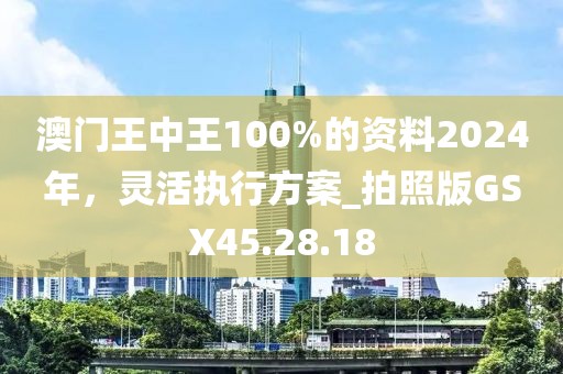 澳门王中王100%的资料2024年，灵活执行方案_拍照版GSX45.28.18