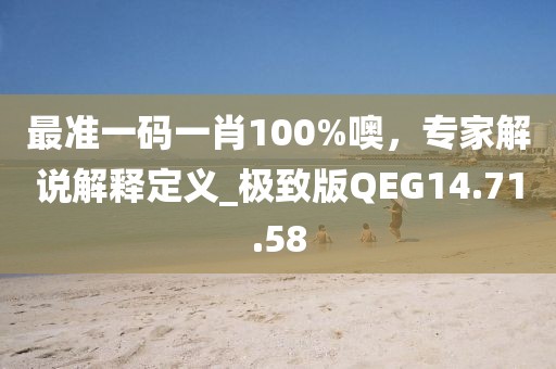 最准一码一肖100%噢，专家解说解释定义_极致版QEG14.71.58