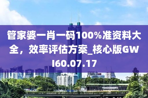 管家婆一肖一码100%准资料大全，效率评估方案_核心版GWI60.07.17