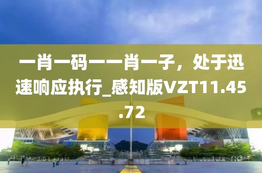 一肖一码一一肖一子，处于迅速响应执行_感知版VZT11.45.72