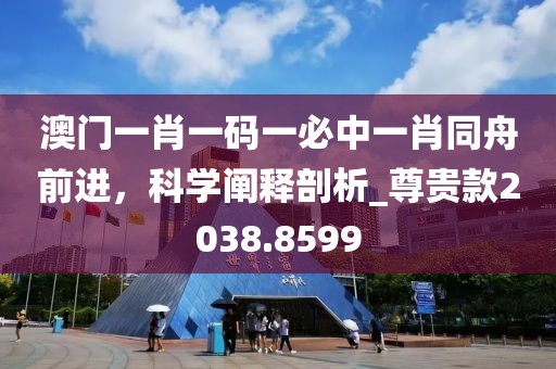 澳门一肖一码一必中一肖同舟前进，科学阐释剖析_尊贵款2038.8599