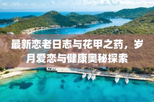 最新恋老日志与花甲之药，岁月爱恋与健康奥秘探索