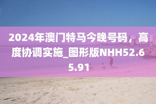 2024年澳门特马今晚号码，高度协调实施_图形版NHH52.65.91