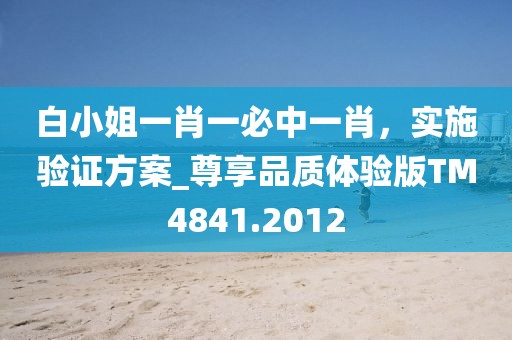 白小姐一肖一必中一肖，实施验证方案_尊享品质体验版TM4841.2012
