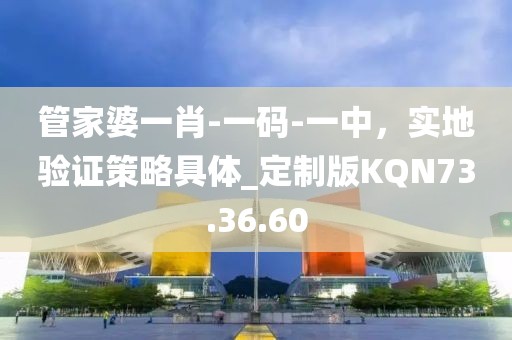 管家婆一肖-一码-一中，实地验证策略具体_定制版KQN73.36.60