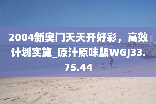 2004新奥门天天开好彩，高效计划实施_原汁原味版WGJ33.75.44