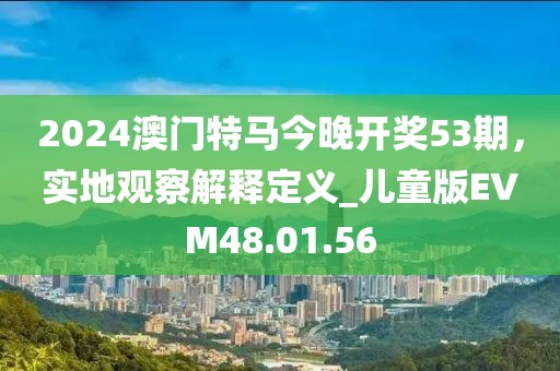 2024澳门特马今晚开奖53期，实地观察解释定义_儿童版EVM48.01.56