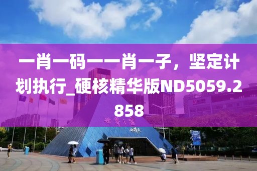 一肖一码一一肖一子，坚定计划执行_硬核精华版ND5059.2858
