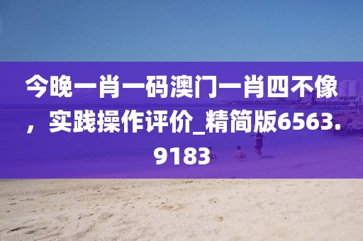 今晚一肖一码澳门一肖四不像，实践操作评价_精简版6563.9183