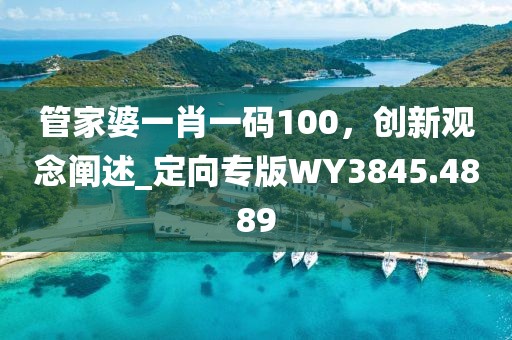 管家婆一肖一码100，创新观念阐述_定向专版WY3845.4889