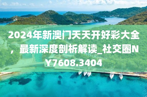2024年新澳门天天开好彩大全，最新深度剖析解读_社交圈NY7608.3404