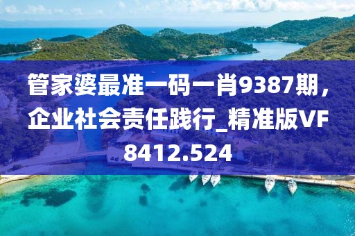 管家婆最准一码一肖9387期，企业社会责任践行_精准版VF8412.524