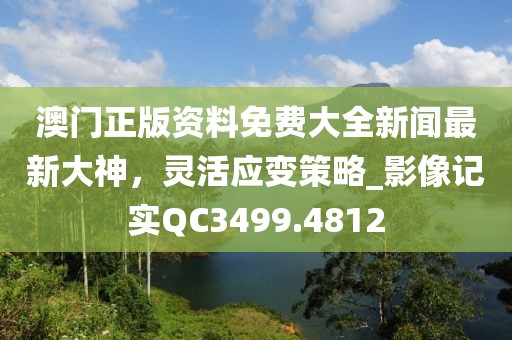澳门正版资料免费大全新闻最新大神，灵活应变策略_影像记实QC3499.4812