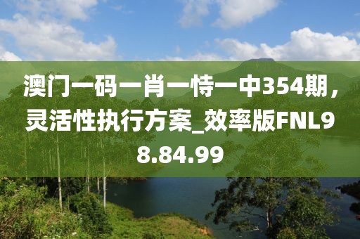 澳门一码一肖一恃一中354期，灵活性执行方案_效率版FNL98.84.99