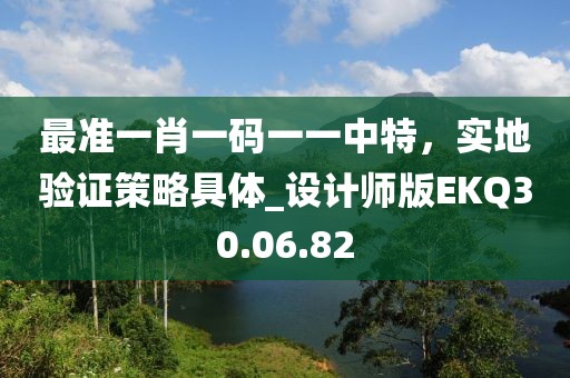 最准一肖一码一一中特，实地验证策略具体_设计师版EKQ30.06.82