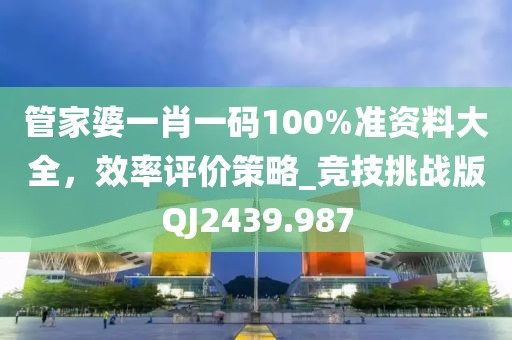 管家婆一肖一码100%准资料大全，效率评价策略_竞技挑战版QJ2439.987