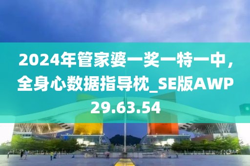 2024年管家婆一奖一特一中，全身心数据指导枕_SE版AWP29.63.54